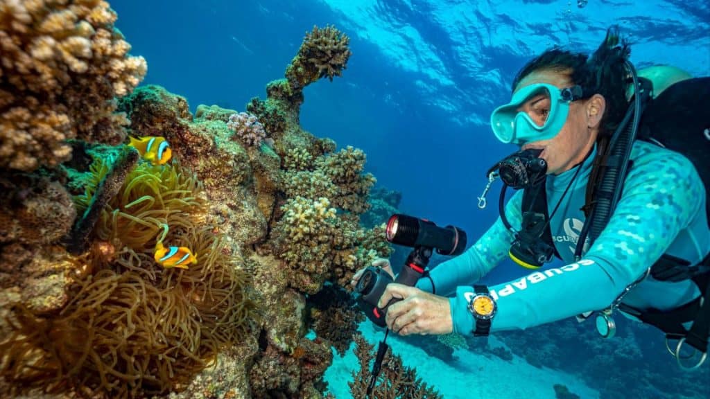 Patadacobra - Mergulho de Cilindro em Bombinhas SC
