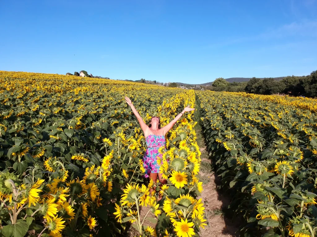 O que fazer em Provence França