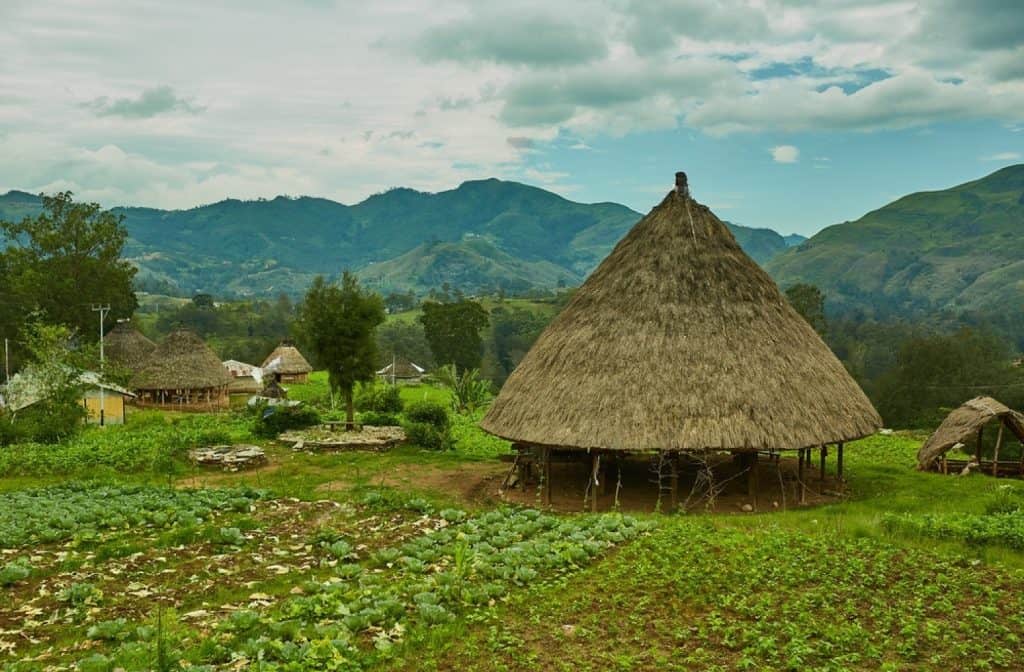 Moeda do Timor Leste